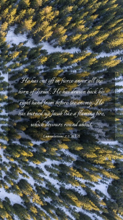 Picture 03 - Lamentations 2:3 WEB Mobile Phone Wallpaper - He has cut off in fierce anger all the horn of - Mobile Bible Verse Wallpaper
