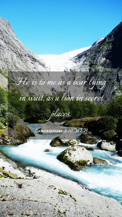 Picture 03 - Lamentations 3:10 WEB Mobile Phone Wallpaper - He is to me as a bear lying in wait, as a lion in - Mobile Bible Verse Wallpaper