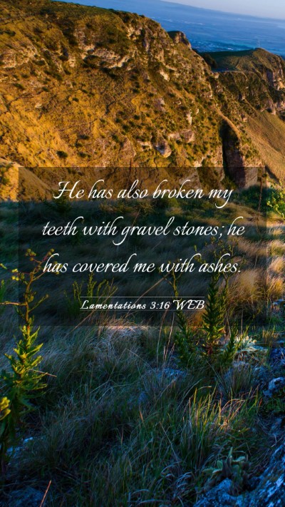 Picture 03 - Lamentations 3:16 WEB Mobile Phone Wallpaper - He has also broken my teeth with gravel stones; - Mobile Bible Verse Wallpaper