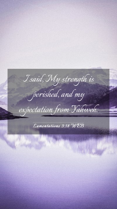 Picture 03 - Lamentations 3:18 WEB Mobile Phone Wallpaper - I said, My strength is perished, and my - Mobile Bible Verse Wallpaper