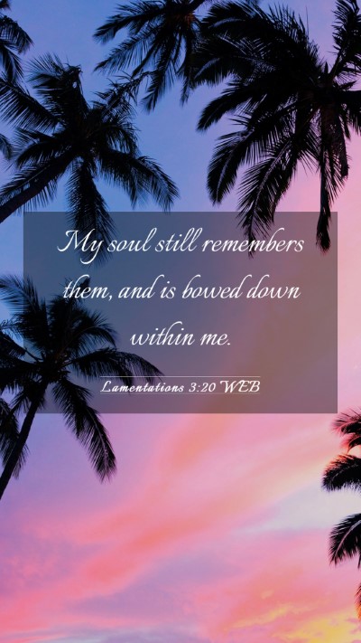 Picture 03 - Lamentations 3:20 WEB Mobile Phone Wallpaper - My soul still remembers them, and is bowed down - Mobile Bible Verse Wallpaper