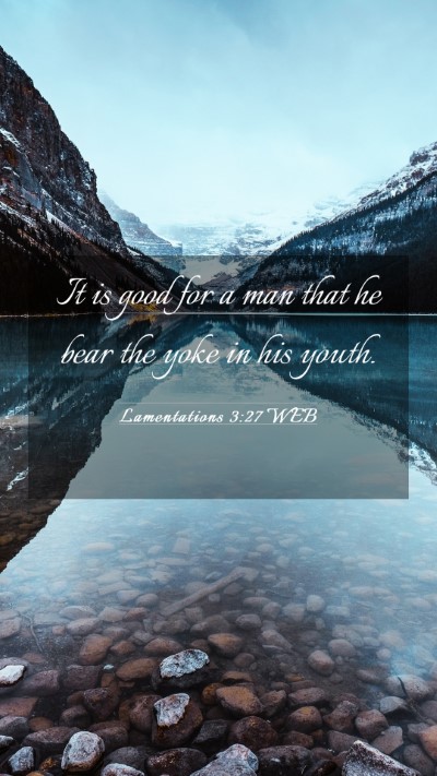 Picture 03 - Lamentations 3:27 WEB Mobile Phone Wallpaper - It is good for a man that he bear the yoke in his - Mobile Bible Verse Wallpaper
