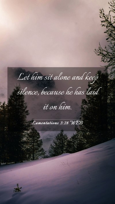 Picture 03 - Lamentations 3:28 WEB Mobile Phone Wallpaper - Let him sit alone and keep silence, because he - Mobile Bible Verse Wallpaper
