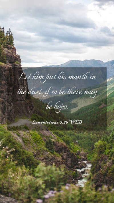 Picture 03 - Lamentations 3:29 WEB Mobile Phone Wallpaper - Let him put his mouth in the dust, if so be there - Mobile Bible Verse Wallpaper