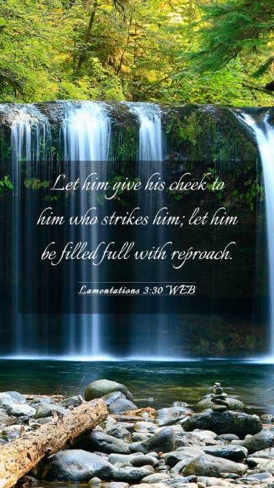 Picture 03 - Lamentations 3:30 WEB Mobile Phone Wallpaper - Let him give his cheek to him who strikes him; - Mobile Bible Verse Wallpaper