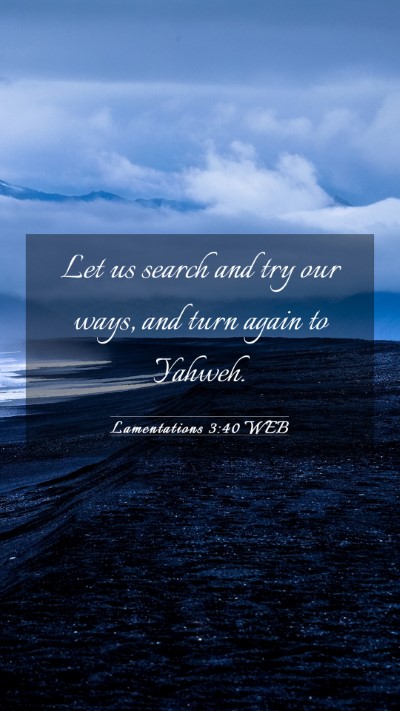 Picture 03 - Lamentations 3:40 WEB Mobile Phone Wallpaper - Let us search and try our ways, and turn again to - Mobile Bible Verse Wallpaper