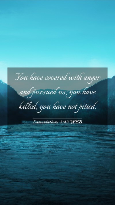 Picture 03 - Lamentations 3:43 WEB Mobile Phone Wallpaper - You have covered with anger and pursued us; you - Mobile Bible Verse Wallpaper