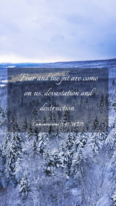 Picture 03 - Lamentations 3:47 WEB Mobile Phone Wallpaper - Fear and the pit are come on us, devastation and - Mobile Bible Verse Wallpaper