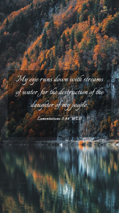 Picture 03 - Lamentations 3:48 WEB Mobile Phone Wallpaper - My eye runs down with streams of water, for the - Mobile Bible Verse Wallpaper