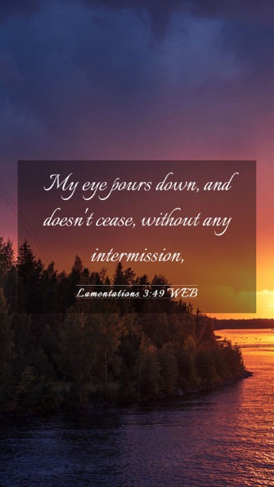 Picture 03 - Lamentations 3:49 WEB Mobile Phone Wallpaper - My eye pours down, and doesn't cease, without any - Mobile Bible Verse Wallpaper