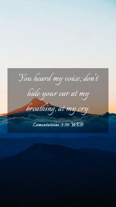 Picture 03 - Lamentations 3:56 WEB Mobile Phone Wallpaper - You heard my voice; don't hide your ear at my - Mobile Bible Verse Wallpaper