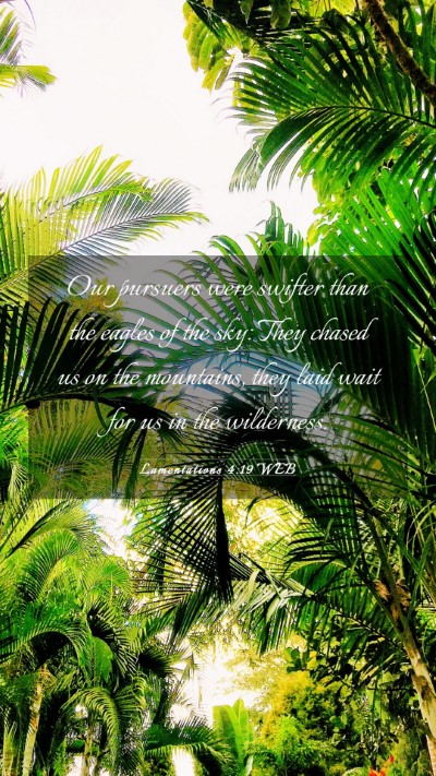 Picture 03 - Lamentations 4:19 WEB Mobile Phone Wallpaper - Our pursuers were swifter than the eagles of the - Mobile Bible Verse Wallpaper