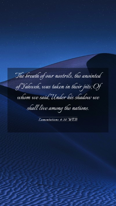 Picture 03 - Lamentations 4:20 WEB Mobile Phone Wallpaper - The breath of our nostrils, the anointed of - Mobile Bible Verse Wallpaper