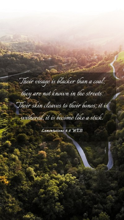 Picture 03 - Lamentations 4:8 WEB Mobile Phone Wallpaper - Their visage is blacker than a coal; they are not - Mobile Bible Verse Wallpaper