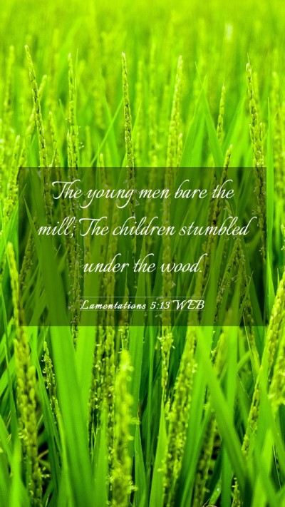 Picture 03 - Lamentations 5:13 WEB Mobile Phone Wallpaper - The young men bare the mill; The children - Mobile Bible Verse Wallpaper