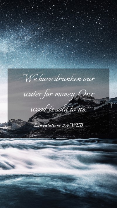 Picture 03 - Lamentations 5:4 WEB Mobile Phone Wallpaper - We have drunken our water for money; Our wood is - Mobile Bible Verse Wallpaper
