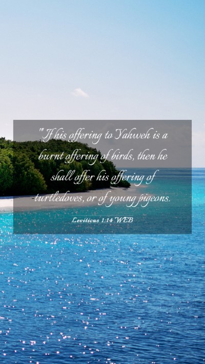 Picture 03 - Leviticus 1:14 WEB Mobile Phone Wallpaper - 
