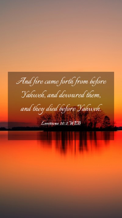 Picture 03 - Leviticus 10:2 WEB Mobile Phone Wallpaper - And fire came forth from before Yahweh, and - Mobile Bible Verse Wallpaper