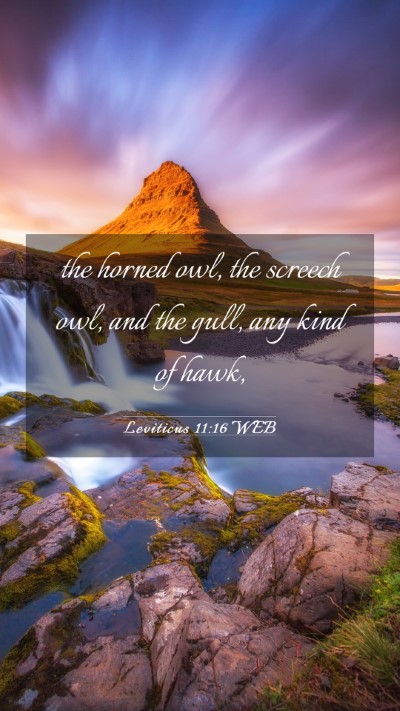 Picture 03 - Leviticus 11:16 WEB Mobile Phone Wallpaper - the horned owl, the screech owl, and the gull, - Mobile Bible Verse Wallpaper
