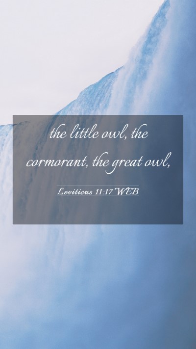 Picture 03 - Leviticus 11:17 WEB Mobile Phone Wallpaper - the little owl, the cormorant, the great - Mobile Bible Verse Wallpaper