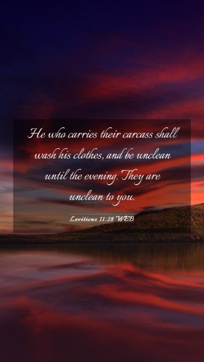 Picture 03 - Leviticus 11:28 WEB Mobile Phone Wallpaper - He who carries their carcass shall wash his - Mobile Bible Verse Wallpaper