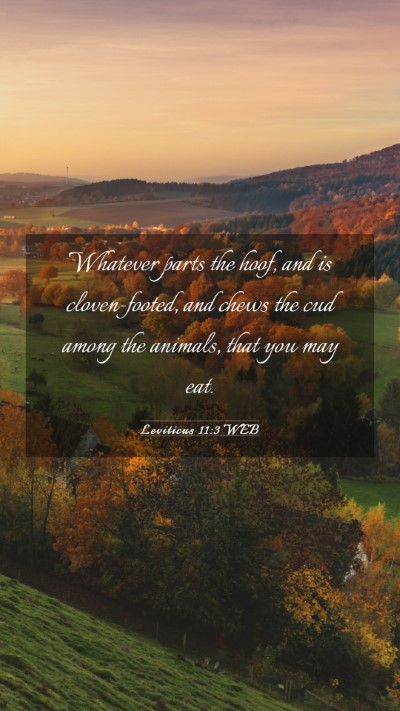 Picture 03 - Leviticus 11:3 WEB Mobile Phone Wallpaper - Whatever parts the hoof, and is cloven-footed, - Mobile Bible Verse Wallpaper