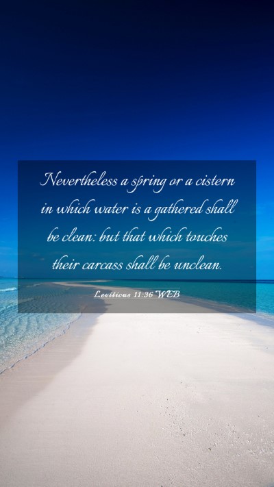 Picture 03 - Leviticus 11:36 WEB Mobile Phone Wallpaper - Nevertheless a spring or a cistern in which water - Mobile Bible Verse Wallpaper