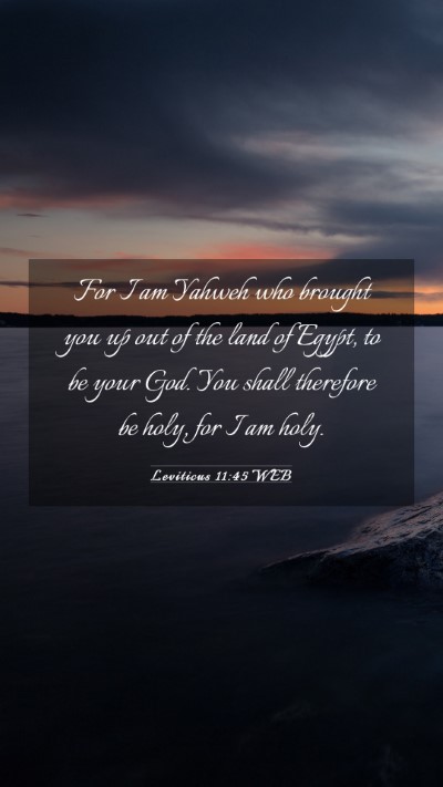Picture 03 - Leviticus 11:45 WEB Mobile Phone Wallpaper - For I am Yahweh who brought you up out of the - Mobile Bible Verse Wallpaper