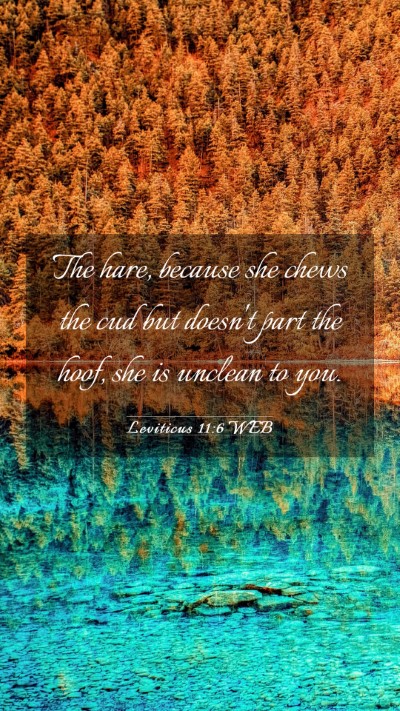 Picture 03 - Leviticus 11:6 WEB Mobile Phone Wallpaper - The hare, because she chews the cud but doesn't - Mobile Bible Verse Wallpaper