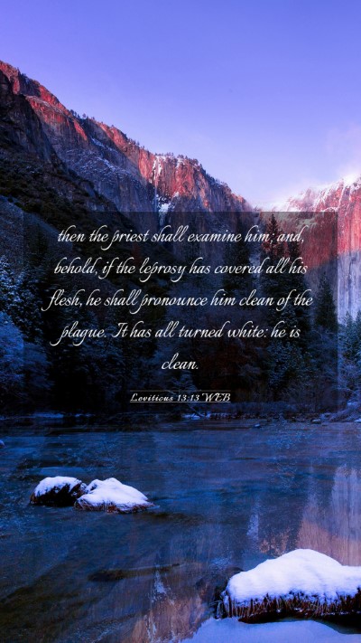 Picture 03 - Leviticus 13:13 WEB Mobile Phone Wallpaper - then the priest shall examine him; and, behold, - Mobile Bible Verse Wallpaper