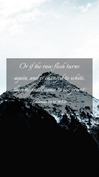 Picture 03 - Leviticus 13:16 WEB Mobile Phone Wallpaper - Or if the raw flesh turns again, and is changed - Mobile Bible Verse Wallpaper