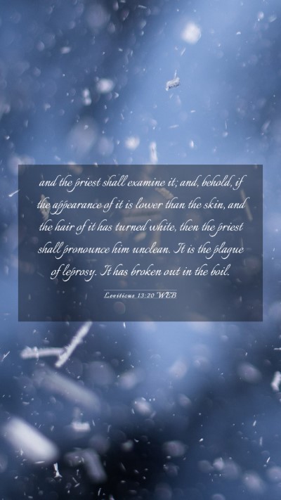 Picture 03 - Leviticus 13:20 WEB Mobile Phone Wallpaper - and the priest shall examine it; and, behold, if - Mobile Bible Verse Wallpaper