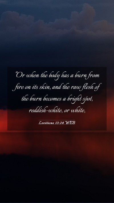 Picture 03 - Leviticus 13:24 WEB Mobile Phone Wallpaper - 