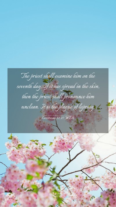 Picture 03 - Leviticus 13:27 WEB Mobile Phone Wallpaper - The priest shall examine him on the seventh day. - Mobile Bible Verse Wallpaper