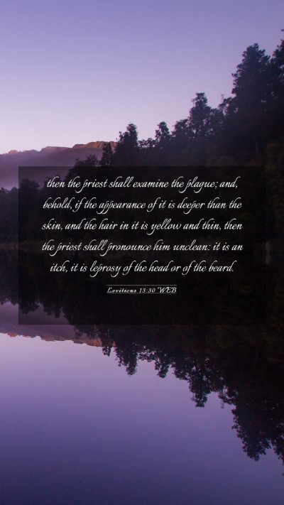 Picture 03 - Leviticus 13:30 WEB Mobile Phone Wallpaper - then the priest shall examine the plague; and, - Mobile Bible Verse Wallpaper