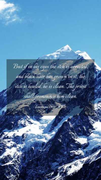 Picture 03 - Leviticus 13:37 WEB Mobile Phone Wallpaper - But if in his eyes the itch is arrested, and - Mobile Bible Verse Wallpaper