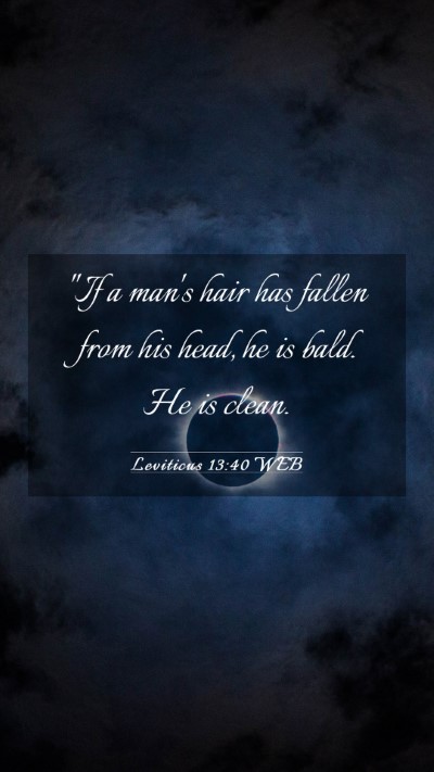 Picture 03 - Leviticus 13:40 WEB Mobile Phone Wallpaper - 