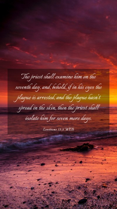 Picture 03 - Leviticus 13:5 WEB Mobile Phone Wallpaper - The priest shall examine him on the seventh day, - Mobile Bible Verse Wallpaper