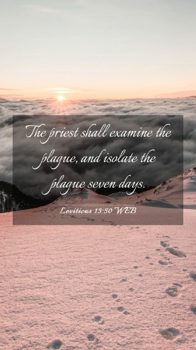 Picture 03 - Leviticus 13:50 WEB Mobile Phone Wallpaper - The priest shall examine the plague, and isolate - Mobile Bible Verse Wallpaper