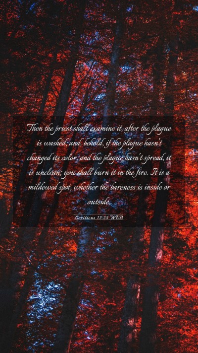 Picture 03 - Leviticus 13:55 WEB Mobile Phone Wallpaper - Then the priest shall examine it, after the - Mobile Bible Verse Wallpaper