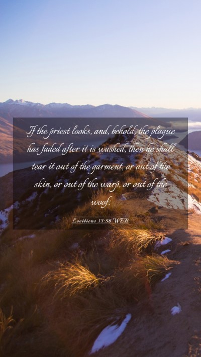 Picture 03 - Leviticus 13:56 WEB Mobile Phone Wallpaper - If the priest looks, and, behold, the plague has - Mobile Bible Verse Wallpaper