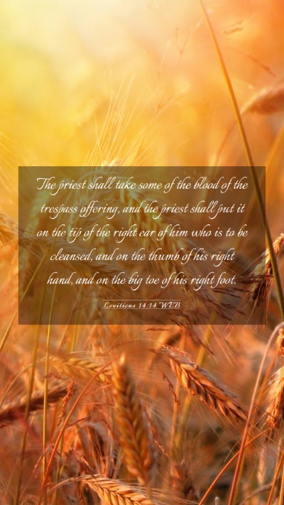 Picture 03 - Leviticus 14:14 WEB Mobile Phone Wallpaper - The priest shall take some of the blood of the - Mobile Bible Verse Wallpaper