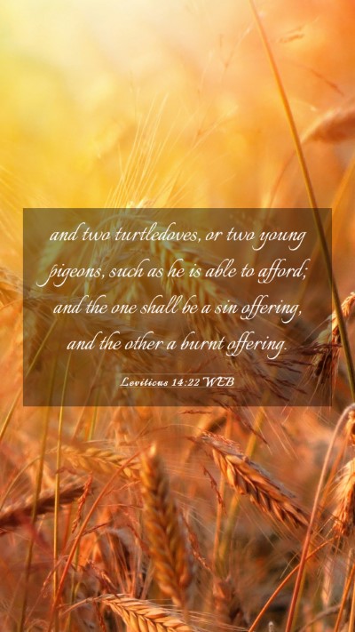 Picture 03 - Leviticus 14:22 WEB Mobile Phone Wallpaper - and two turtledoves, or two young pigeons, such - Mobile Bible Verse Wallpaper