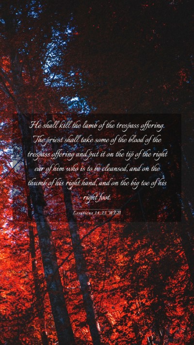 Picture 03 - Leviticus 14:25 WEB Mobile Phone Wallpaper - He shall kill the lamb of the trespass offering. - Mobile Bible Verse Wallpaper