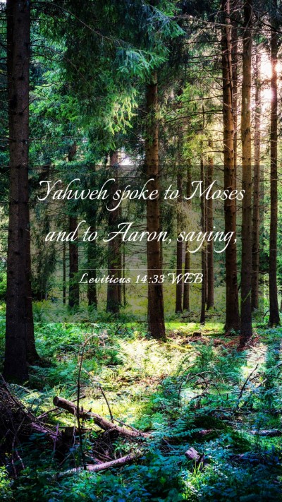 Picture 03 - Leviticus 14:33 WEB Mobile Phone Wallpaper - Yahweh spoke to Moses and to Aaron, - Mobile Bible Verse Wallpaper