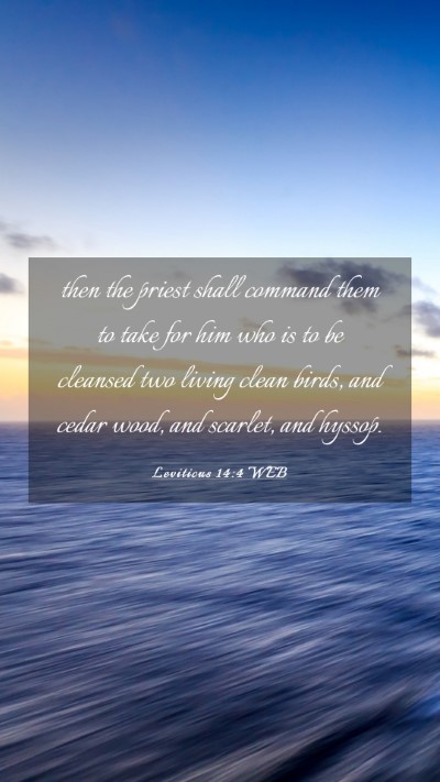 Picture 03 - Leviticus 14:4 WEB Mobile Phone Wallpaper - then the priest shall command them to take for - Mobile Bible Verse Wallpaper