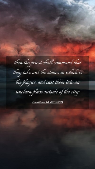 Picture 03 - Leviticus 14:40 WEB Mobile Phone Wallpaper - then the priest shall command that they take out - Mobile Bible Verse Wallpaper