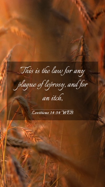 Picture 03 - Leviticus 14:54 WEB Mobile Phone Wallpaper - This is the law for any plague of leprosy, and - Mobile Bible Verse Wallpaper
