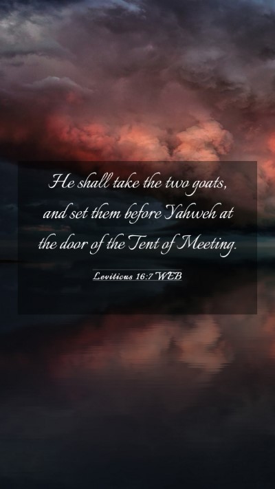 Picture 03 - Leviticus 16:7 WEB Mobile Phone Wallpaper - He shall take the two goats, and set them before - Mobile Bible Verse Wallpaper