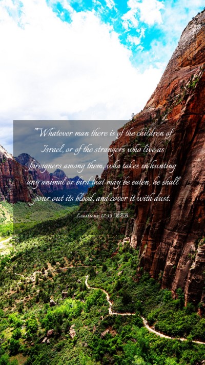 Picture 03 - Leviticus 17:13 WEB Mobile Phone Wallpaper - 